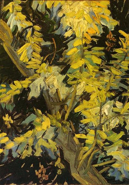 Квітучі гілки акації, 1890 - Вінсент Ван Гог