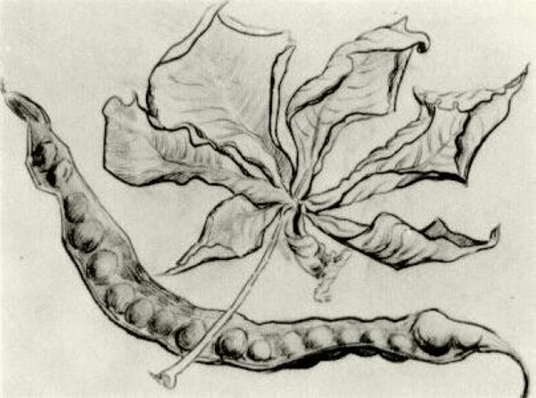 Dead Leaf and Pod, 1890 - 梵谷