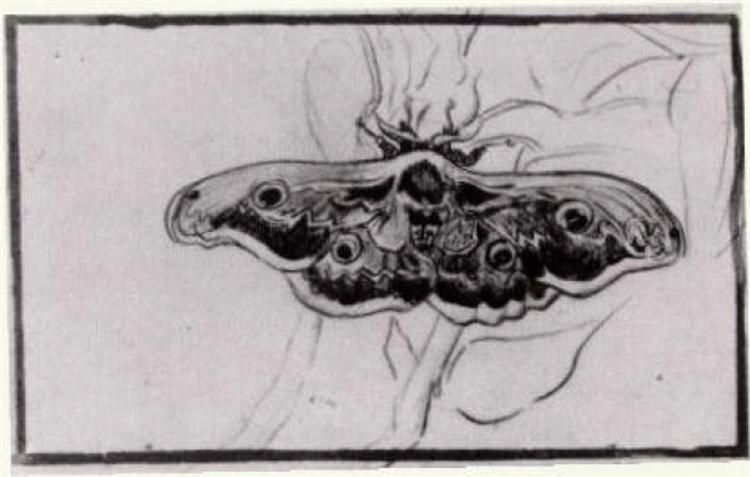 Death's Head Moth, 1889 - 梵谷