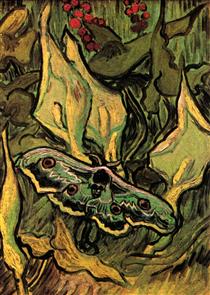 Great Peacock Moth - Vincent van Gogh