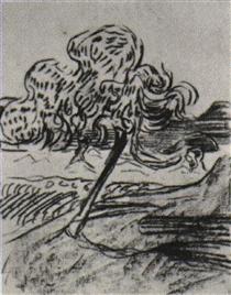 Study of a Fruit Tree - Vincent van Gogh